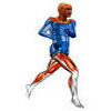 Engineering for Sport Life and Work